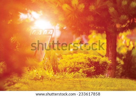 Bench in park during sunset with grass, trees and bushes