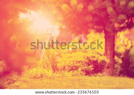 Bench in park during sunset with grass, trees and bushes