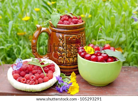 Raspberry and cherry blossoms against a background of flower beds