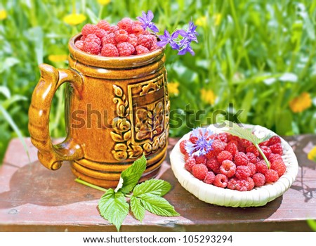 Raspberries on the background of a blossoming flower beds