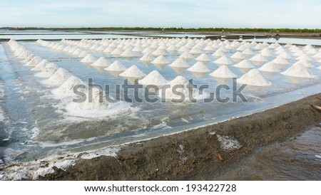 Row of salt piles harvested by farmers in salt farm