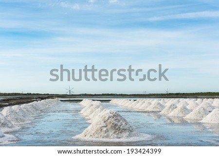 Salt piles harvested by farmers in salt farm