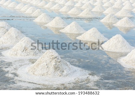 Row of salt piles to be harvested by farmers in salt farm