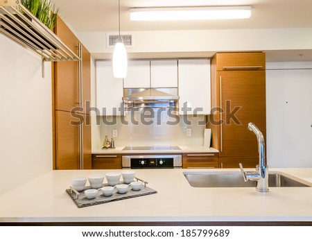 Modern, bright, clean, kitchen interior with stainless steel appliances and wooden cabinets in a luxury house