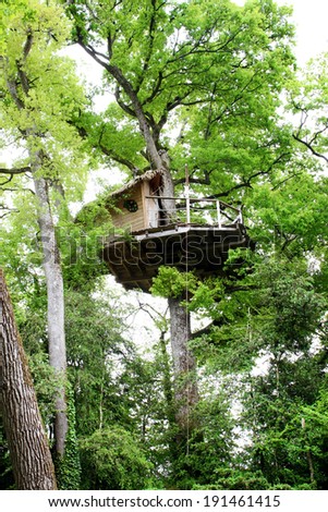 gorgeous treehouse in a green tree - house in a tree