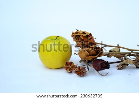 dried green apple and rose dried on white background