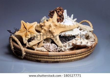 basket with dry shells and starfish
