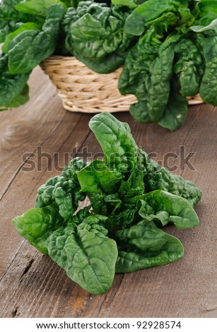 Spinach leaves and spinach in the basket
