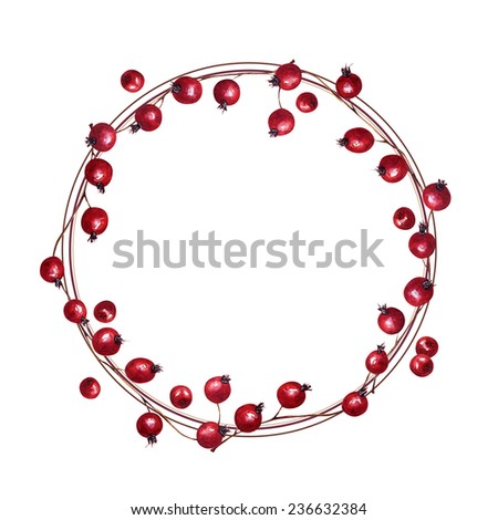 Hand drawn watercolor wreath of red rose-hip and rowan berries.