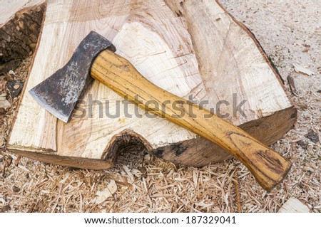 Fire wood and old axe. Renewable resource of a energy