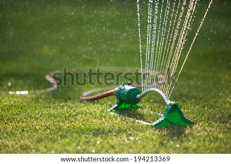 Lawn sprinkler spaying water over green grass. Irrigation system. backlight