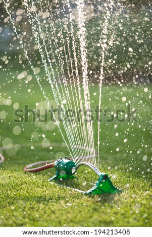 Lawn sprinkler spaying water over green grass. Irrigation system. soft backlight, shallow depth of field blurred bokeh sun effect