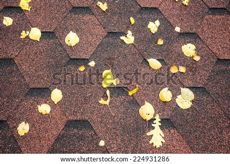 Asphalt roof and autumn leaves background