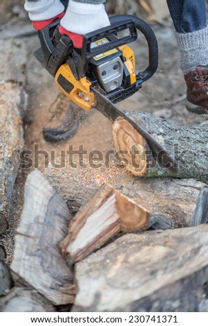 Woman with chainsaw cutting the tree, motion, focus on body saw