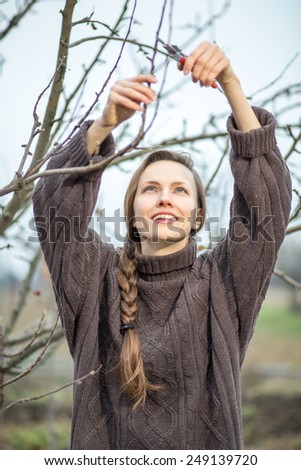 Gardener pruning fruit trees by pruning shears, daylight  focus on face