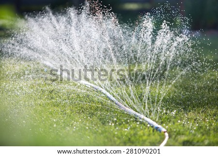 Lawn sprinkler spaying water over green grass. Irrigation system. Micro spray tape. backlight, shallow depth of field
