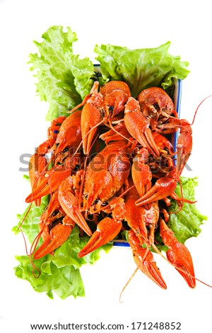 Boiled lobsters on a dish with salad