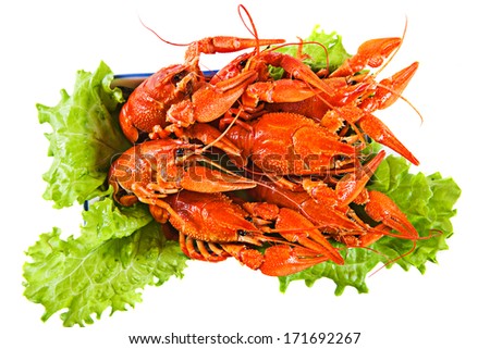 The prepared boiled lobsters on a dish with salad, isolation