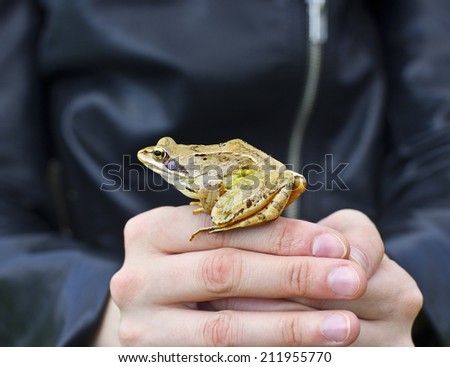 Hands holding frog