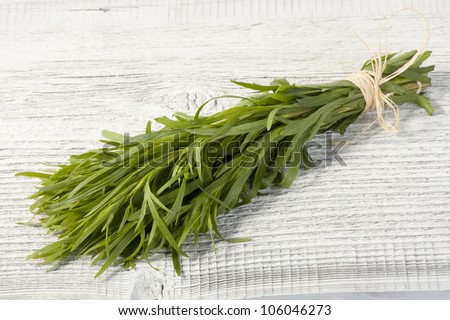Fresh tarragon herb bunch isolated on a white table.