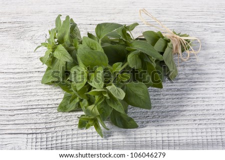 Fresh Oregano herb bunch isolated on a white table.