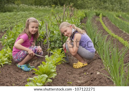 A pretty two sister (age 7 and 9) with garden tools pulling weeds out of the vegetable garden.
