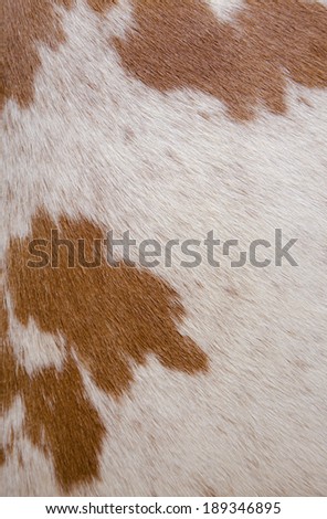 cow leather texture background