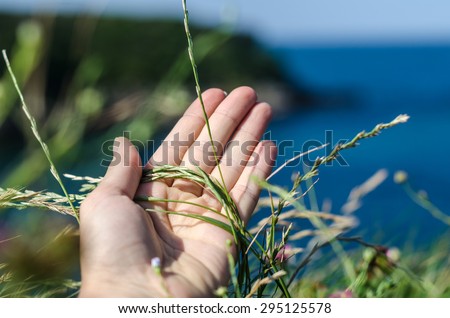 A woman hand keeping grass with the view on the Atlantic ocean