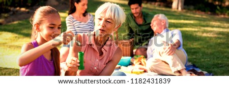 Grand mother looking at her granddaughter blowing bubbles in the park on a sunny day