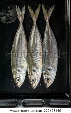 three silver fishes