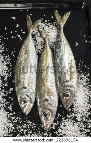 three silver fishes with salt