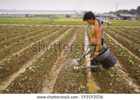 PAN YU, GUANGDONG PROVINCE, CHINA - Agricultural worker watering new sprouts by hand in field, in front of factory buildings, at the Highsun Industrial Zone. 11 October 2006