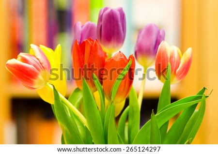 A bouquet of fresh spring tulips, with blurred bookshelves in the background.