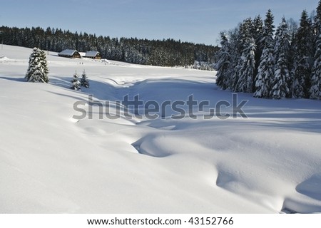 ski trip nice winter landscapes