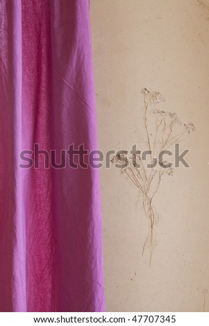 plaster with printing plants
