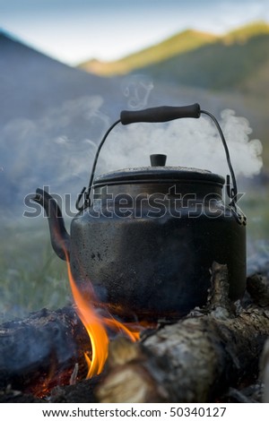 kettle tea pot trip