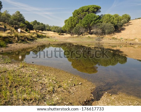 Small pond in the Labores streaml. San Martin de Valdeiglesias. Madrid. Spain. Europe.