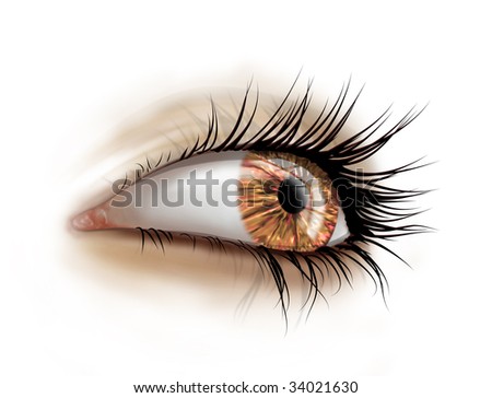 female eyes drawing. of a female eye with long