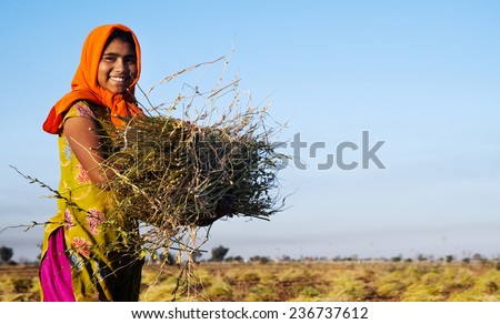 Indian girl working on the farm. near Jaipur, India.