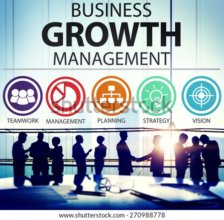 Business Strategy Management Mission Success Concept