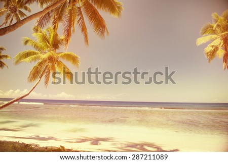 Summer Beach Tropical Peaceful Sunset Concept