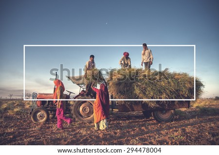 India Family Farming Harvesting Crops Concept