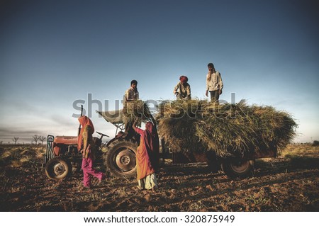 India Family Farming Harvesting Crops Harvesting Concept
