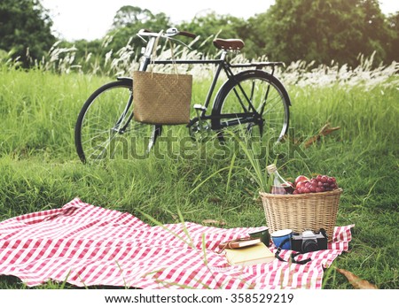 Picnic Basket Handbag Vacation Leisure Lifestyle Concept