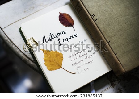 Closeup of pressed autumn leaves collection book