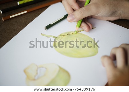 Closeup hand drawing art work of coconut