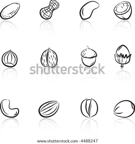 Walnut Clipart Black And White