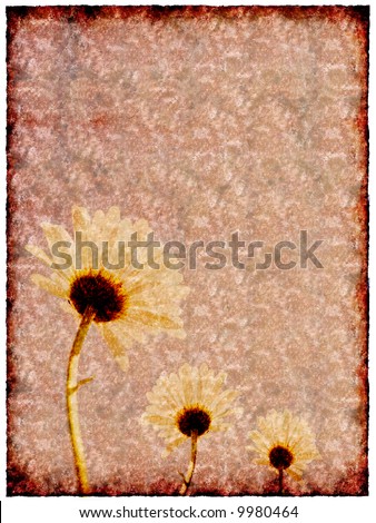 Old sheet of paper with daisy flowers on background