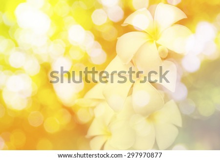 flower \
 in vintage color style and bokeh blur background