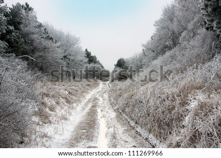 dirty road in forest in winter time